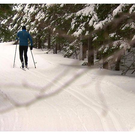 Hotel Far Hills Val-Morin Bagian luar foto