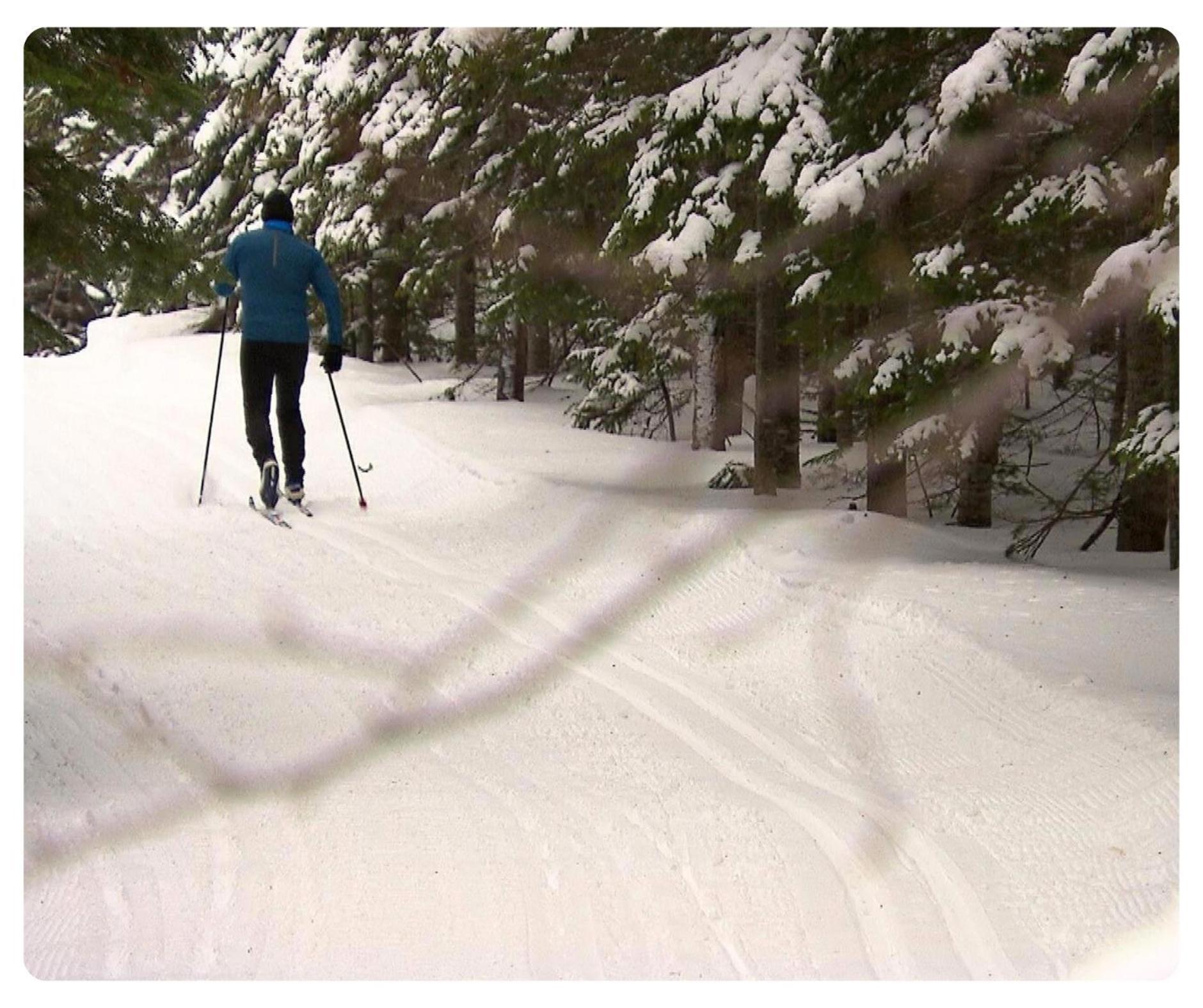 Hotel Far Hills Val-Morin Bagian luar foto
